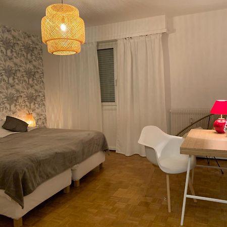 Appartement Centre-Ville Colmar Eksteriør billede