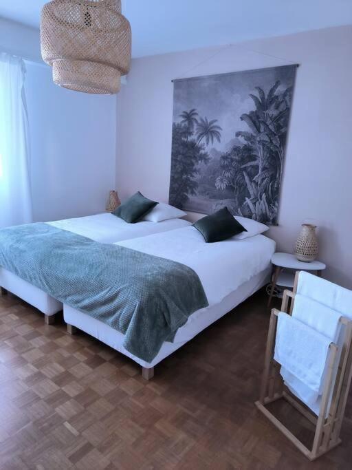 Appartement Centre-Ville Colmar Eksteriør billede